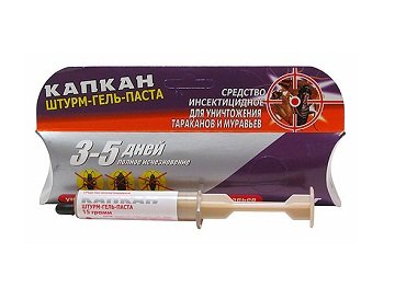 Як боротися з домашніми мурахами   інструкція від А до Я