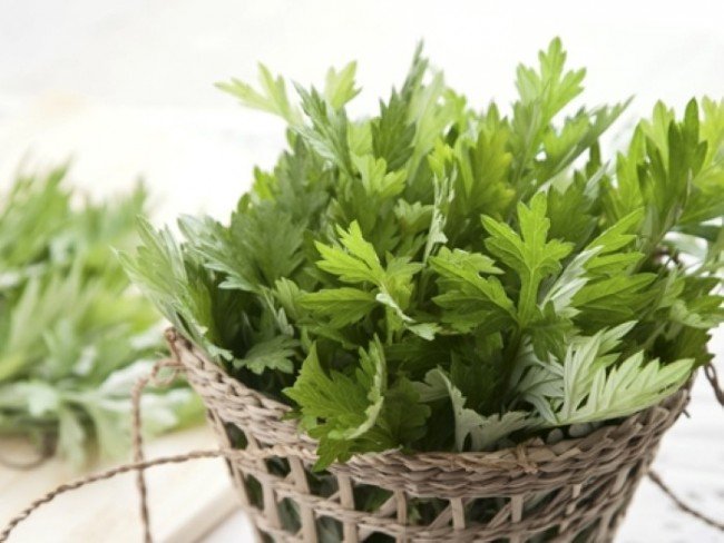 Як позбутися бліх з будинку: виселяємо шкідливих сусідів