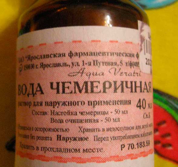 Звідки зявляються воші у людини