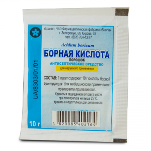 Народні засоби від бліх: чого бояться блохи в квартирі