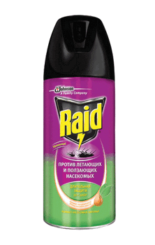 Чорні таргани – як розпізнати і знищити?