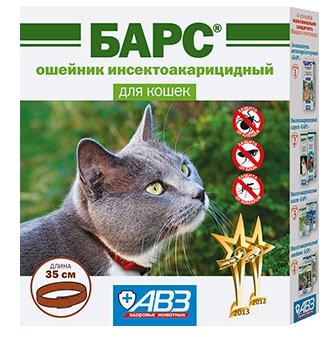 Нашийник від бліх для кішок і собак – огляд кращих пропозицій
