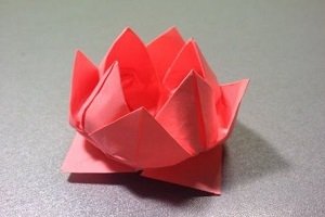 Квітка лілії з паперу своїми руками: різні способи, покрокові інструкції зі схемами