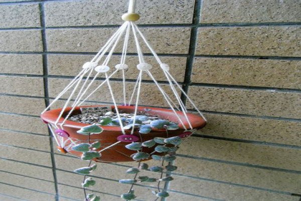 Як зробити кашпо і горщики для петуній своїми руками: прості і оригінальні ідеї для прикраси саду, покрокові фото і відео