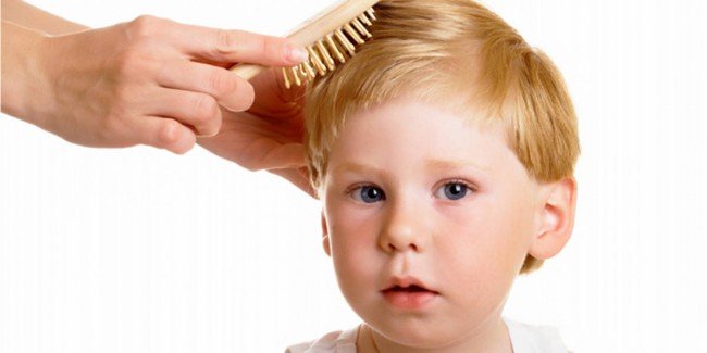 Вша і гнида — Як ефективно лікувати педикульоз !?