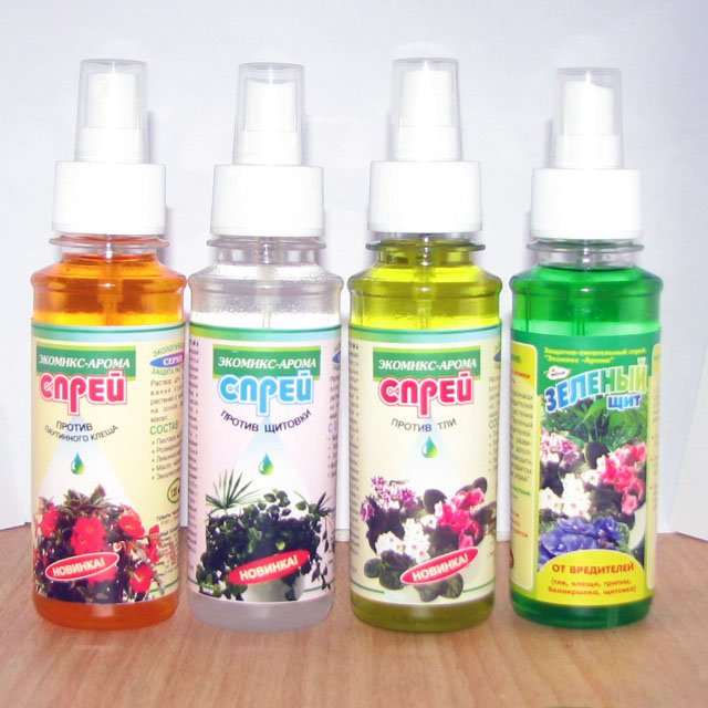 Як позбутися від попелиці на яблуні