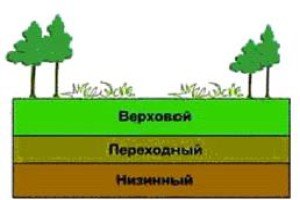 Добриво торф: склад, види та застосування