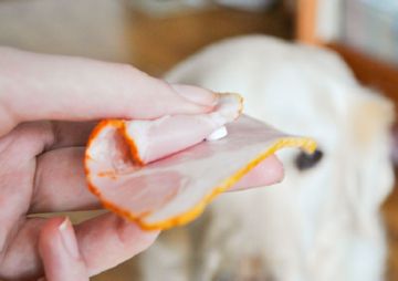 Інструкція із застосування таблеток від бліх Комфортис для кішок і собак