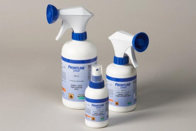 Засіб від кліщів для собак: таблетки, краплі або ошейнки?