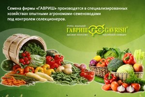 Агрофірма Гавриш – постачальник високоякісних насіння від професіоналів