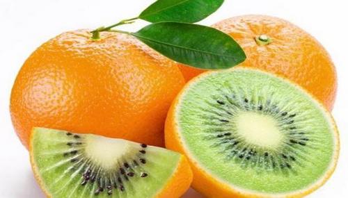 Куди пішли таргани з наших квартир?