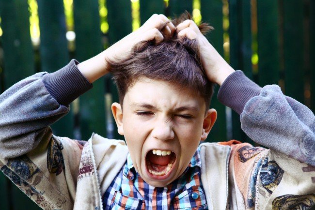 Оцет від вошей — ефективне лікування від паразитів