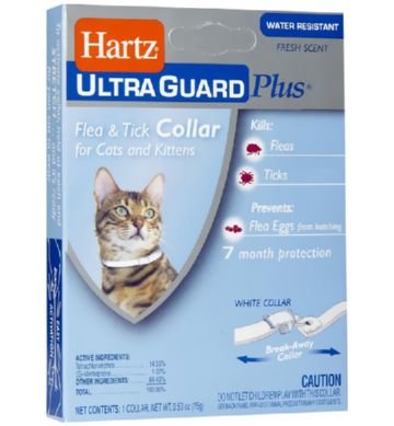 Як діє нашийник від бліх для кішок і як правильно його застосовувати