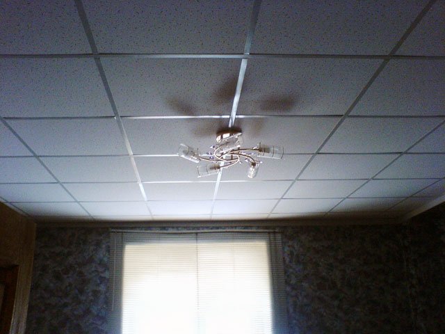 Все про стельової плитки з пінополістиролу, монтаж, відео урок