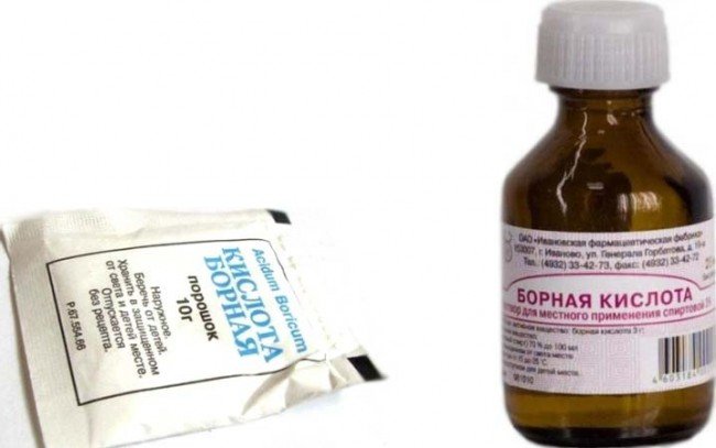 Кращий засіб від тарганів: крейда, аерозолі, пастки — що вибрати?