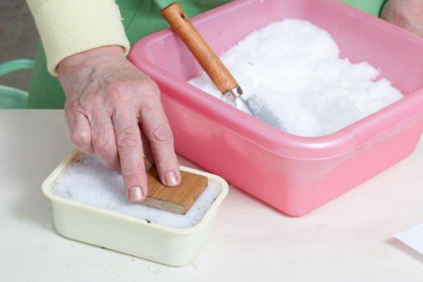 Посадка насіння на розсаду петунії: технологія методів «равлика» і «сніг»