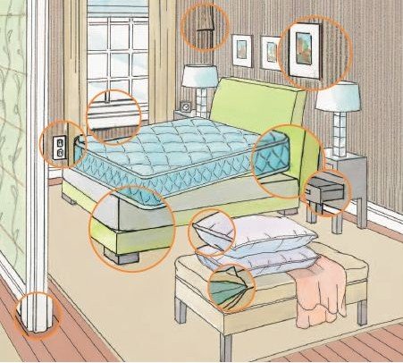 Клопи у квартирі – місця проживання та ознаки появи