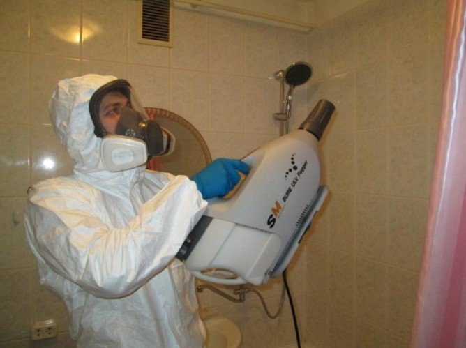 Як знищити постільних клопів: способи і методи боротьби в домашніх умовах Як знищити постільних клопів: способи і методи боротьби в домашніх умовах