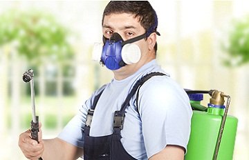 Як вивести клопів з квартири? Все, що Вам потрібно – професійне знищення клопів