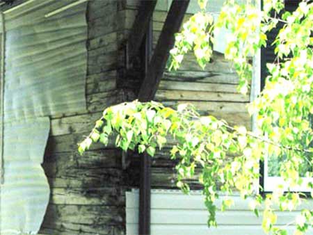 Самостійне утеплення будинку Самостійне утеплення будинку