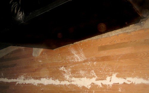 Борна кислота від тарганів: принцип дії та спосіб застосування