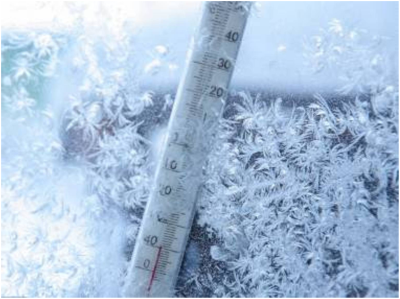 Знищення клопів – засоби для самостійного використання