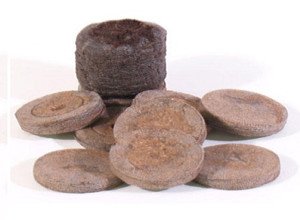 Вирощування розсади петунії в торфяних таблетках: умови посадки і проростання насіння, фото і відео інструкція