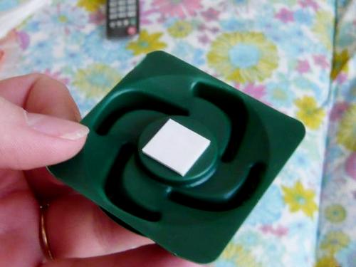 Чорні таргани – як розпізнати і знищити?