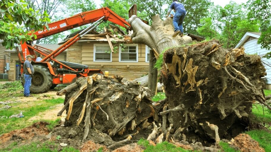 Скільки коштує благоустрій земельної ділянки
