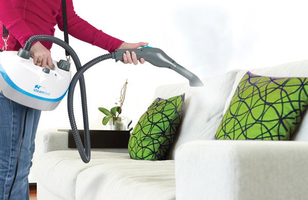 Шкідливі Клопи : причини їх появи в будинку