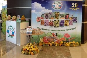 СеДеК — лідируюча агрофірма, що випускає оригінальні сорти насіння