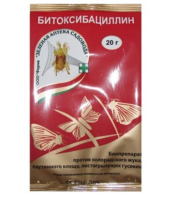 Колорадський жук: кращі способи боротьби з шкідливою комахою