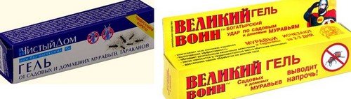 Знищення мурах: вибираємо засіб від садових шкідників