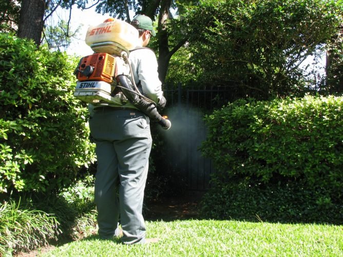 Обробка ділянки від комарів