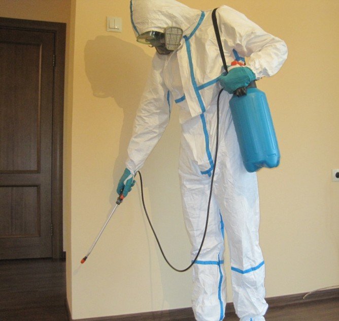 Як труїти клопів в домашніх умовах