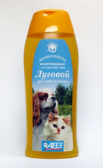 Власоед у собак – опис захворювання і методи лікування