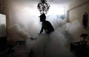 Знищення клопів гарячим туманом: переваги процедури, технологія, відгуки