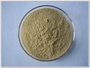 Народний засіб від тарганів: позбутися від прусаків в квартирі