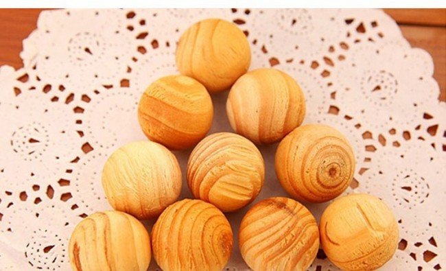 Як вивести клопів з квартири самостійно: Скажи «ні» шкідників