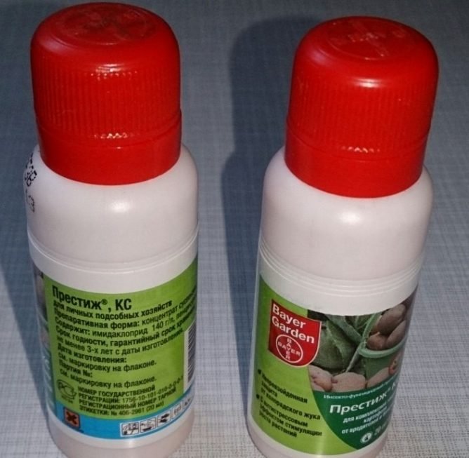 Способи захисту картоплі від капустянки   обробка до посадки