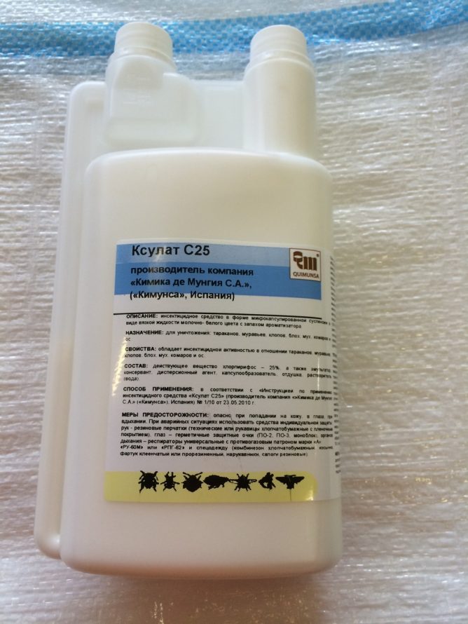 Захист від оси: вибираємо найкращий засіб