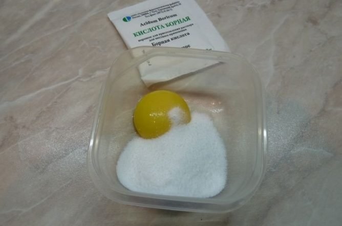 Засоби боротьби з тарганами на основі борної кислоти