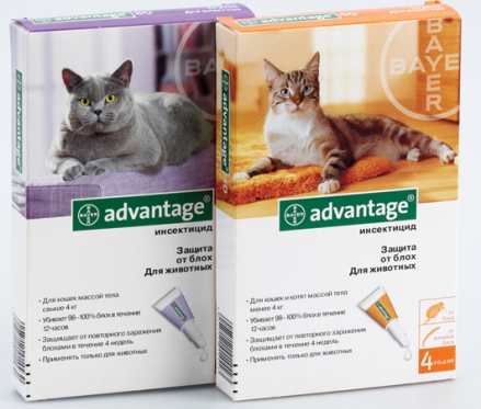 Краплі від бліх для кішок і собак