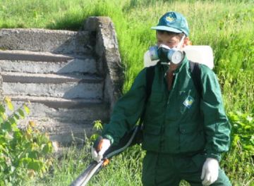 Дезакаризация приміщень і території: види, способи проведення, ефективність