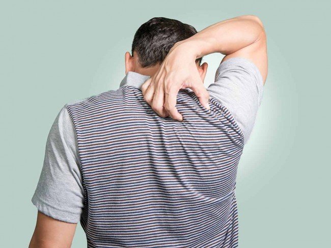 Як кусають блохи і як з ними боротися: кращі методи та поради