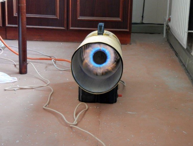 Як позбутися від клопів у квартирі — швидко і без наслідків