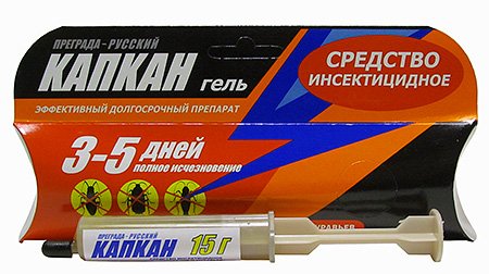 Цькування тарганів сучасними засобами: що вибрати і як це працює?
