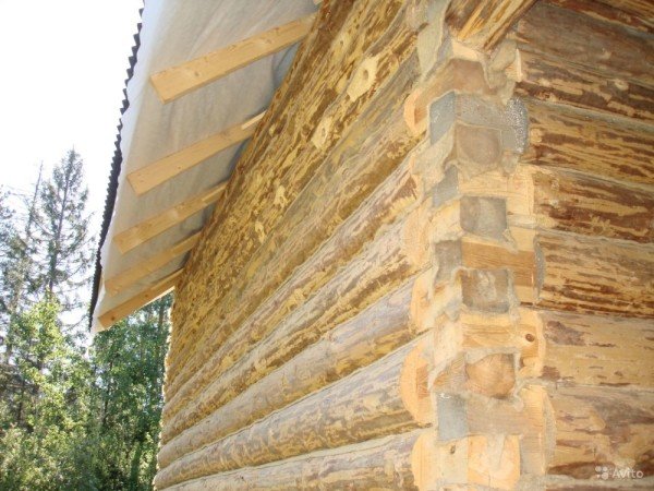 Вибір матеріалу для конопатки деревяного будинку і техніка її виконання