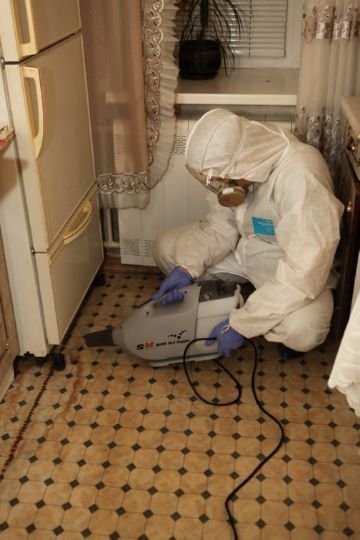 Знищення клопів холодним туманом: суть методу, переваги, відгуки