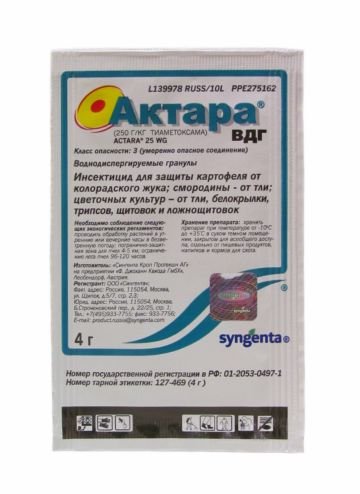 Як позбутися від щитівки: основні методи боротьби